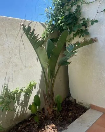 شقة فندقية V