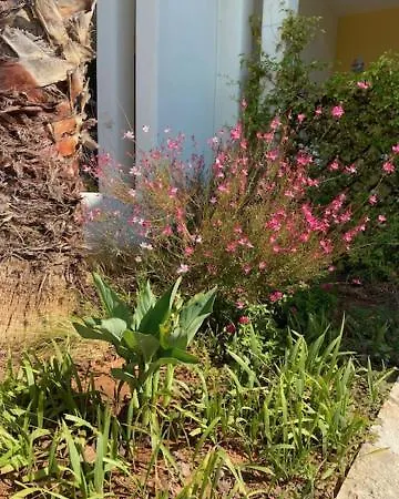 V شقة فندقية 4*