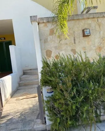 V * Gallipoli